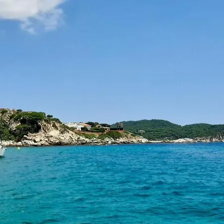 Daire Precios A Primera Linia De Mar Palamós