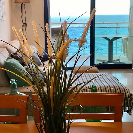 Precios A Primera Linia De Mar Daire Palamós